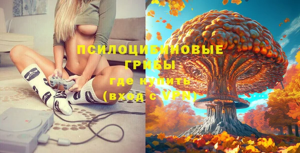 наркотики Богданович