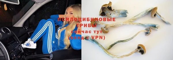 наркотики Богданович