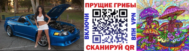 это Telegram  Мезень  Галлюциногенные грибы прущие грибы 